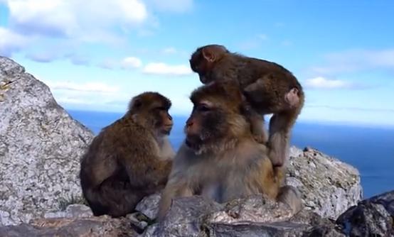 Gibraltar's proposals for new regulatory legislation and all-in-one rulebook